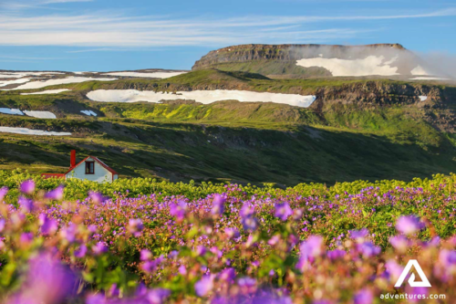 Wandelavontuur in de Westfjorden