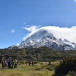 Torres-del-Paine-3850285_Pixabay-scaled