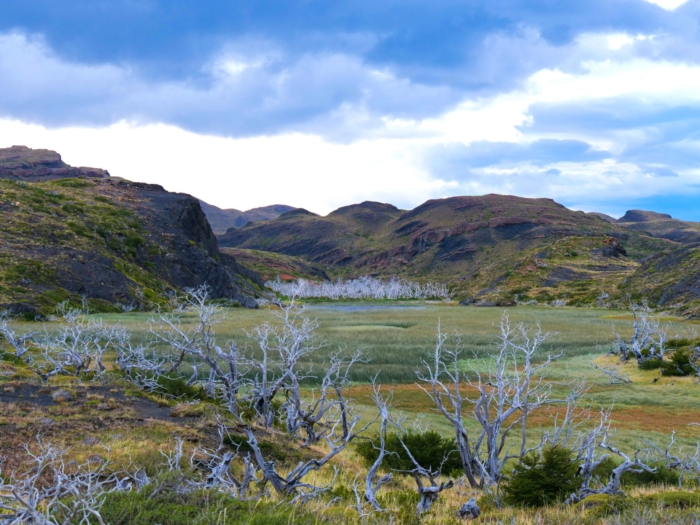 Torres-del-Paine_Florian-Delee-Np_unsplash-scaled