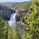 Yellowstone en Grand Teton