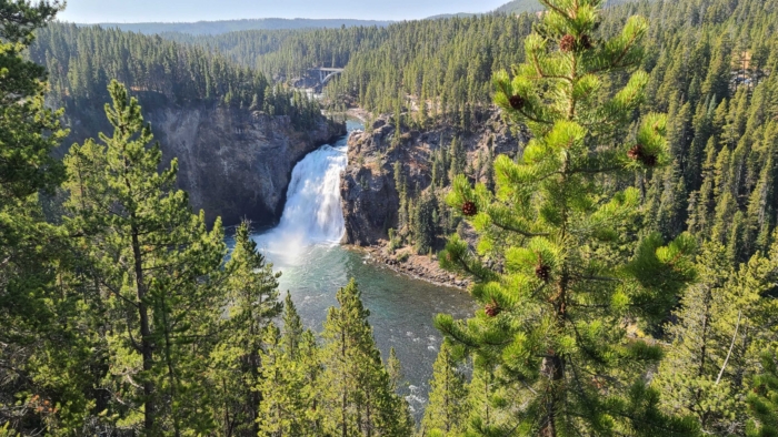 Yellowstone en Grand Teton